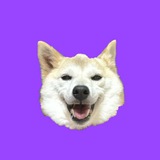 Telegram profile photo for Neiro Inu