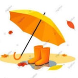 Telegram profile photo for ☔️ Rainy day🌂