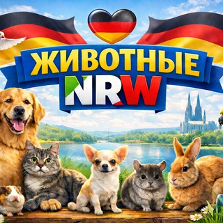 Telegram group profile photo for Животные NRW 🇩🇪 | Продажа и покупка • Помощь • Советы • Уход