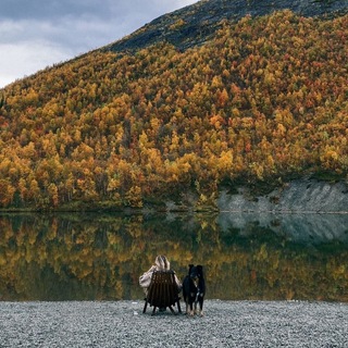 Telegram profile photo for Дарья, блин, Нечинская