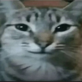 Telegram profile photo for НастяУбежище