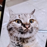 Telegram profile photo for BASEMENT