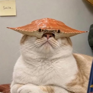Telegram profile photo for hear my meow🥢