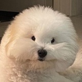 Telegram profile photo for будка
