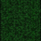 Telegram profile photo for i love informatika ©️