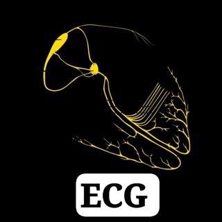 Telegram profile photo for Easy ECG Course
