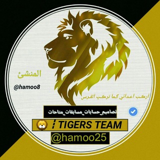 Telegram profile photo for 🦁┇TIGERS TEAM