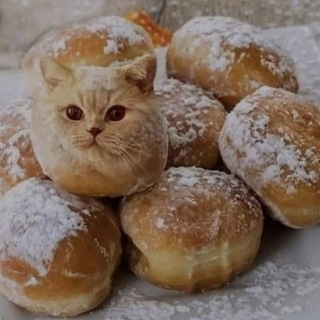 Telegram profile photo for кокосы кокооосы