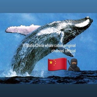 Telegram profile photo for China Whale Cabal