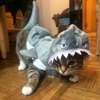 Telegram profile photo for Артсцена с опущенным завесом