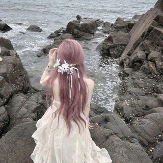 Telegram profile photo for 💗听海上号新频道💗