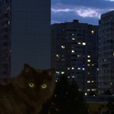 Telegram profile photo for канал ёжиков