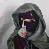 Telegram profile photo for نهـجُ الأبرار 🍂
