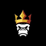 Telegram profile photo for VM TIPSTER💰💎