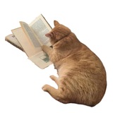 Telegram profile photo for written by кирилл