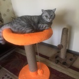 Telegram profile photo for ЕДА И ДАЧА