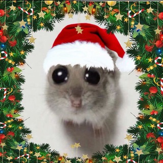 Telegram profile photo for Glorikhamster или хамак :) для отзывов и для конкурсов