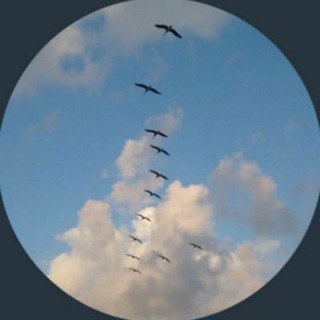Telegram profile photo for ليزهر الأثر🦋.