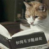 Telegram profile photo for 凤凰国际官网频道