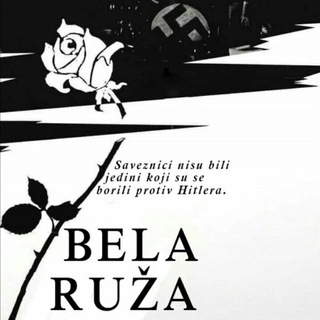 Telegram group profile photo for The White Rose - Serbia