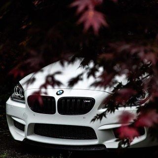 Telegram profile photo for ๐๐๐