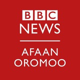 Telegram profile photo for BBC AFAAN OROMOO