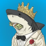 Telegram profile photo for Shark 🦈