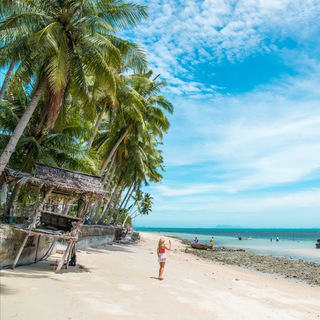 Telegram group profile photo for Prosamui