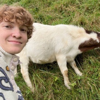 Telegram profile photo for Vsepozhirayshi