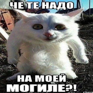 Telegram profile photo for илья долги 53к