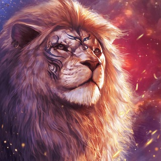 Telegram profile photo for Omars Calls