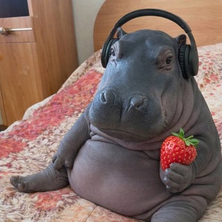 Telegram profile photo for В Вологде ищут | Chat