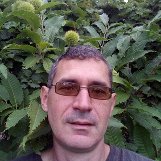 Telegram profile photo for Твой родовой лесосад