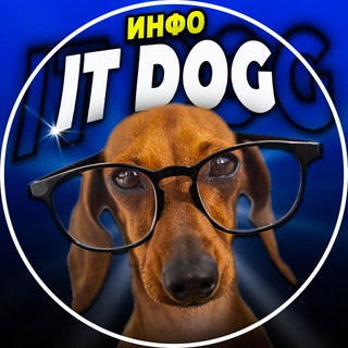 Telegram profile photo for IT Dog | INFO