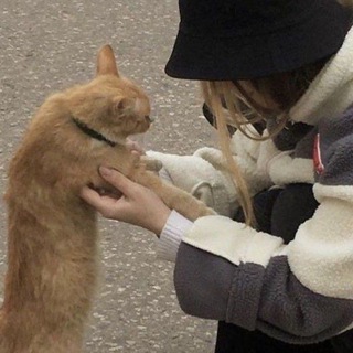Telegram profile photo for это правда