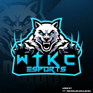 Telegram profile photo for WTKC eSports
