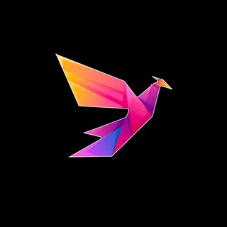 Telegram group profile photo for RISING BIRD