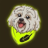 Telegram profile photo for Robinhood Dog