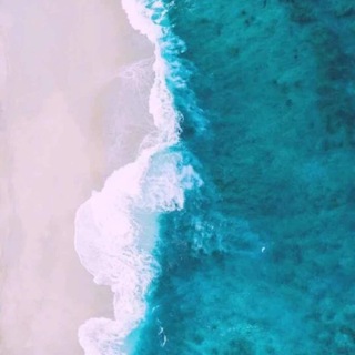 Telegram profile photo for 家财万贯