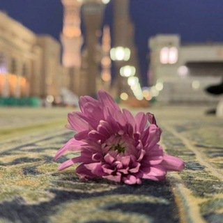 Telegram profile photo for النور