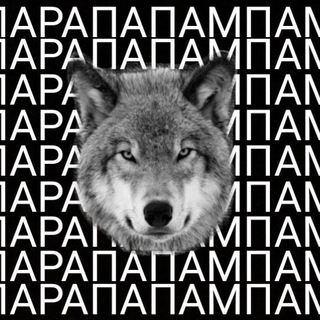 Telegram profile photo for Телега Волка 🐺