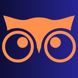 Telegram profile photo for OWL Scanner || PORTAL