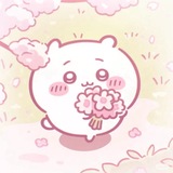 Telegram profile photo for mao - cmms