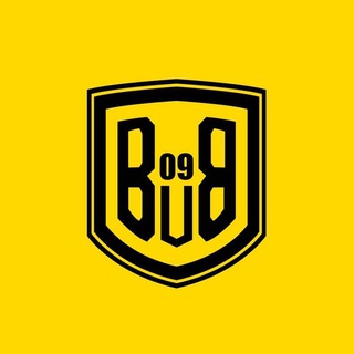 Telegram profile photo for Dortmund Vibes | Шмели из Дортмунда