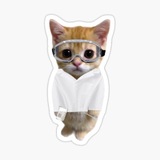 Telegram profile photo for химка