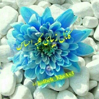 Telegram profile photo for کلبه احساس