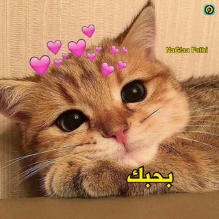 Telegram profile photo for Twix 🙂💛