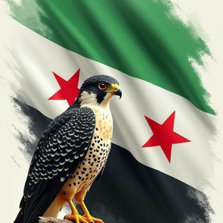 Telegram profile photo for مختارات🌍