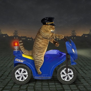 Telegram profile photo for Кошичкина полиция