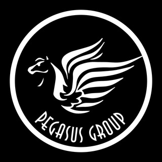 Telegram profile photo for Pegasus Group Channel